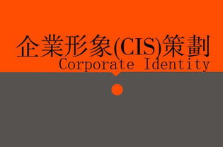 廣告、營(yíng)銷、品牌與企業(yè)策劃 戰(zhàn)略協(xié)同下的廣告設(shè)計(jì)核心